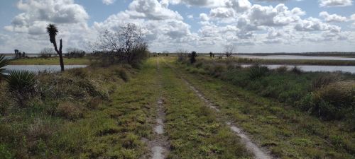 A dirt path lined with grass and shrubs, leading through a wetland under a cloudy sky.