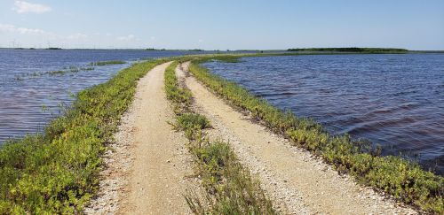 A winding dirt path surrounded by water, leading through lush greenery under a clear blue sky.