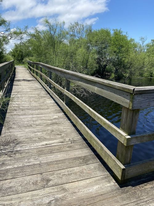 A wooden bridge stretches over calm water, surrounded by lush greenery and a clear blue sky.