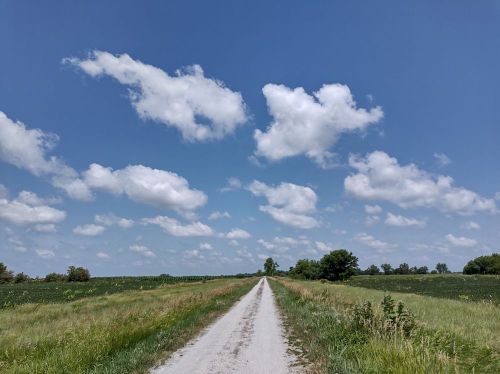 A gravel road stretches into the distance, flanked by green fields under a bright blue sky with fluffy white clouds.