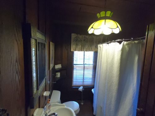 A cozy bathroom with wooden walls, a shower curtain, a sink, and a vintage lamp illuminating the space.