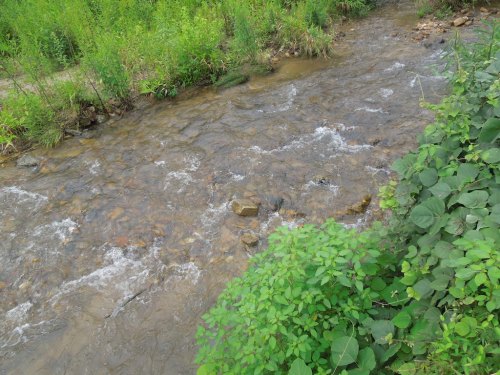 A clear stream flows through a lush green landscape, with rocks visible beneath the water and vegetation along the banks.