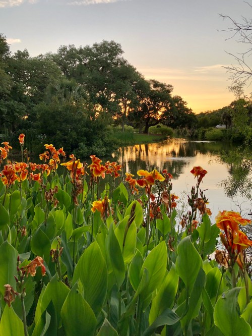 A serene sunset over a calm river, framed by vibrant orange flowers and lush greenery.