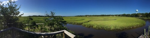 Panoramic view of a lush green marsh with winding waterways under a clear blue sky.