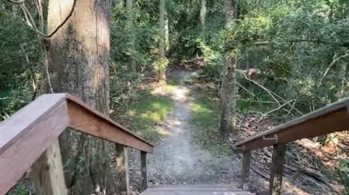 A wooden staircase leads down into a lush, green forest with a winding dirt path visible below.