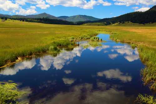 A serene landscape featuring a calm river reflecting clouds and mountains, surrounded by lush green fields.