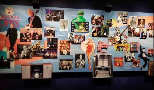 A colorful collage of music and entertainment memorabilia, featuring photos, posters, and iconic characters like Kermit the Frog.