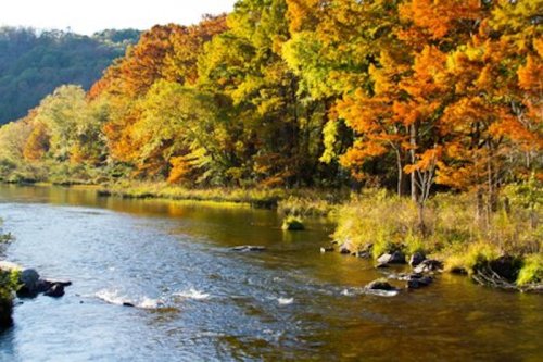 A serene river flows through a landscape of vibrant autumn trees in shades of orange and yellow.