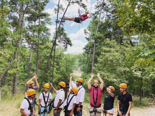 A group of people in helmets cheer as one person zip lines through a forested area on a sunny day.