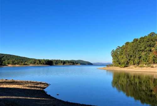 A serene lake surrounded by trees under a clear blue sky, reflecting the landscape on its calm surface.