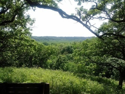 A lush green landscape with trees and rolling hills under a bright sky, viewed from a wooded area.