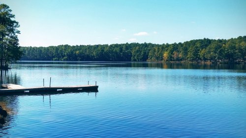 A serene lake surrounded by trees, with a wooden dock extending into the calm water under a clear blue sky.