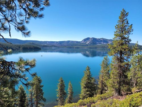 A serene lake surrounded by pine trees and mountains under a clear blue sky. Reflections shimmer on the water's surface.