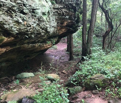 A rocky overhang in a lush forest, with a narrow path winding through greenery and trees.