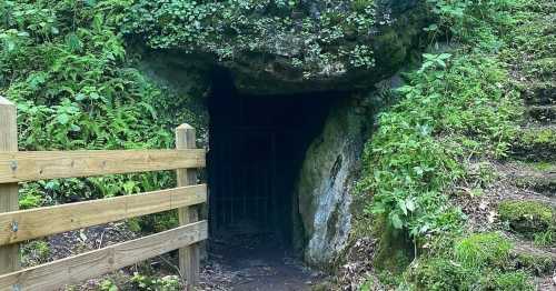 A dark cave entrance surrounded by lush greenery and a wooden fence.