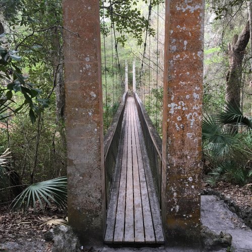 A narrow wooden bridge stretches between two stone pillars in a lush, green forest.