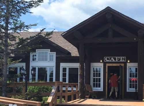 A rustic café with a wooden entrance and "OPEN" sign, surrounded by trees and blue skies.