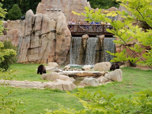 Two bears roam near a waterfall and rocky landscape, with visitors on a bridge in the background.