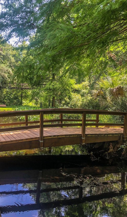 A wooden bridge spans a calm waterway, surrounded by lush green trees and foliage.