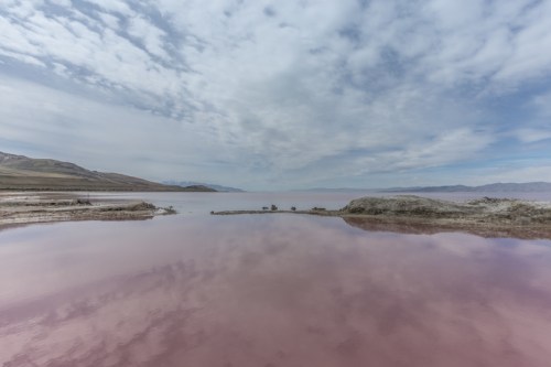 A serene landscape featuring a pink lake under a cloudy sky, with distant hills on the horizon.