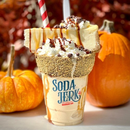 A decadent milkshake topped with whipped cream, chocolate chips, and a slice of cheesecake, surrounded by pumpkins.