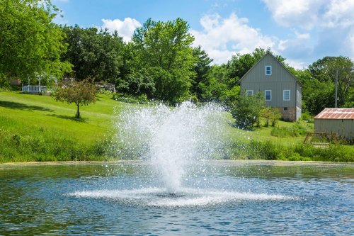 A fountain sprays water in a pond, surrounded by lush greenery and a house in the background under a blue sky.