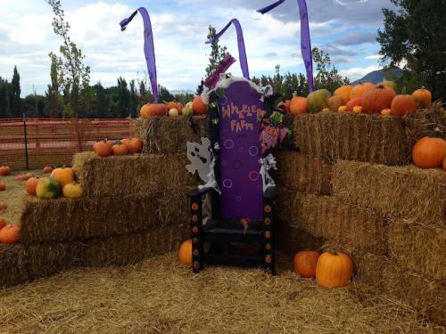A Halloween-themed throne surrounded by pumpkins and hay bales, with purple decorations in a farm setting.