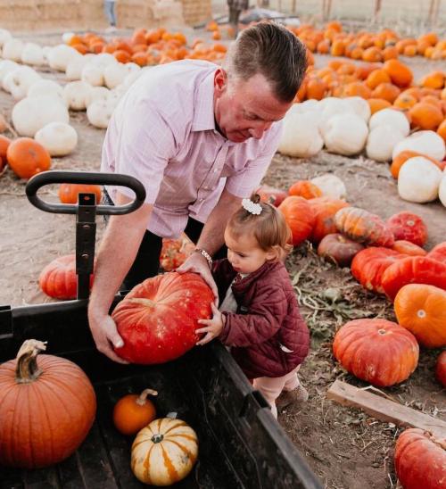 A man helps a young child lift a large pumpkin in a pumpkin patch surrounded by various pumpkins.