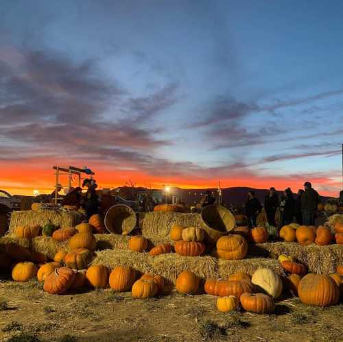 A pumpkin patch at sunset, with pumpkins scattered on hay bales and a colorful sky in the background.