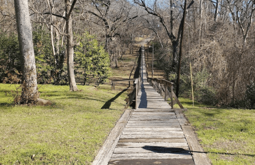 A wooden walkway leads through a grassy area, surrounded by bare trees and a peaceful natural setting.