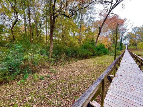 A wooden boardwalk leads through a colorful autumn forest with fallen leaves and lush greenery on either side.