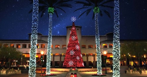 A festive Christmas tree adorned with lights stands among palm trees at night, under a starry sky.