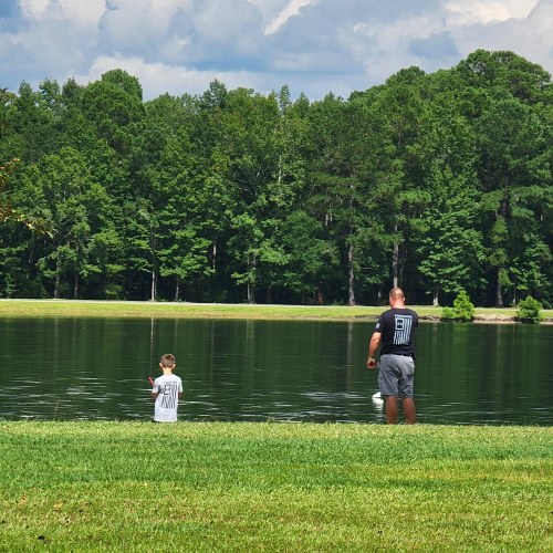 A man and a child fish by a serene lake surrounded by lush green trees on a sunny day.