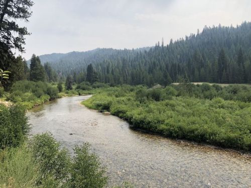A serene river flows through lush greenery, surrounded by tall trees and distant mountains under a hazy sky.