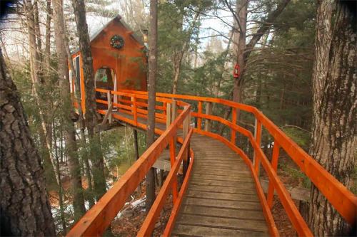 A wooden walkway leads to a treehouse nestled among tall trees, surrounded by greenery and a peaceful atmosphere.