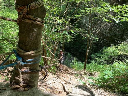 A person climbs a rocky path with ropes tied to a tree, surrounded by lush greenery and a steep drop nearby.