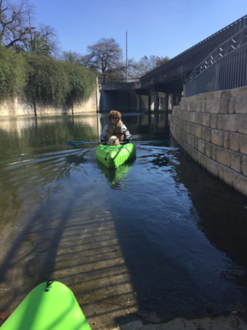 A person in a green kayak paddles on calm water, with a stone wall and trees in the background under a clear blue sky.