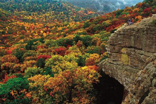 A person sits on a rocky ledge overlooking a vibrant autumn forest filled with red, orange, and yellow foliage.