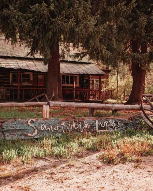 A rustic wooden sign reading "Sandy Fork Lodge" in front of a log cabin surrounded by trees and greenery.