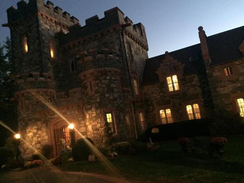 A stone castle with turrets, illuminated windows, and a garden, set against a twilight sky.