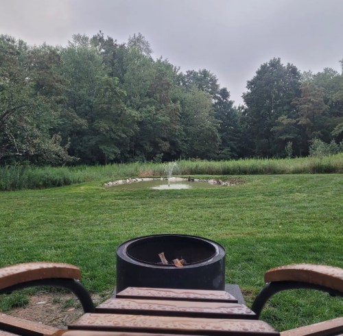 A view of a grassy area with a small pond and trees, seen from a wooden bench with a fire pit in the foreground.