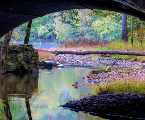 A serene landscape under a bridge, featuring a calm stream, colorful foliage, and reflections on the water's surface.