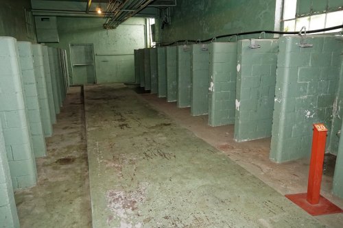 Abandoned shower area with green walls and multiple shower stalls, featuring a concrete floor and dim lighting.