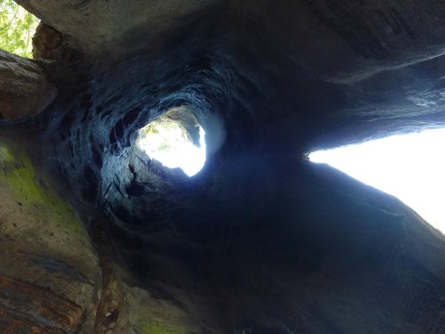 View looking up from inside a cave, featuring a circular opening with light streaming through.