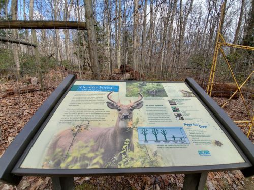 Information sign about healthy forests, featuring a deer and educational content, set in a wooded area.