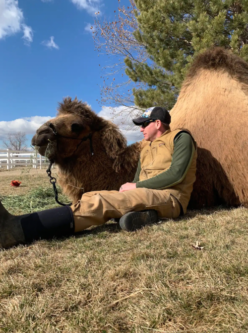 A person in a tan outfit sits beside a relaxed camel on grass, with trees and a blue sky in the background.