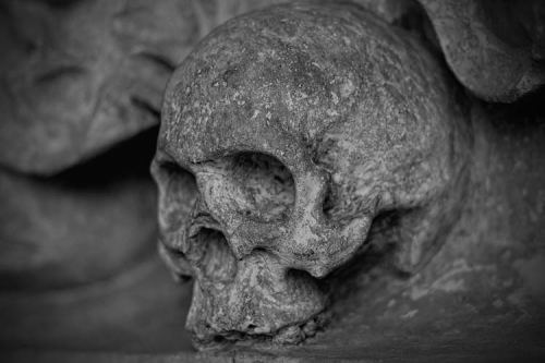 A close-up of a weathered skull, showcasing intricate details and textures in black and white.