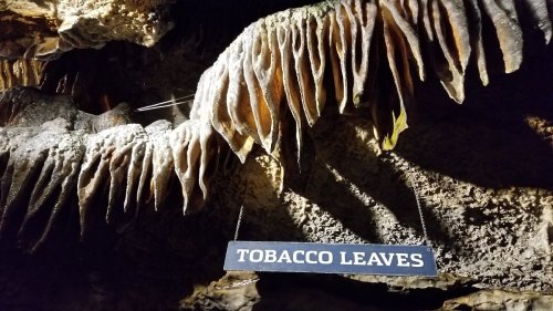 Sign reading "Tobacco Leaves" hanging in a cave with stalactite formations above.