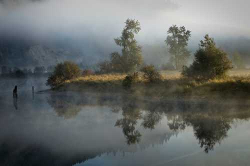 A serene landscape with misty trees reflected in calm water, creating a tranquil, atmospheric scene.