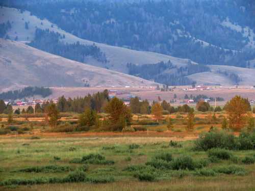 A scenic view of rolling hills and a small town surrounded by trees and grassy fields under a blue sky.